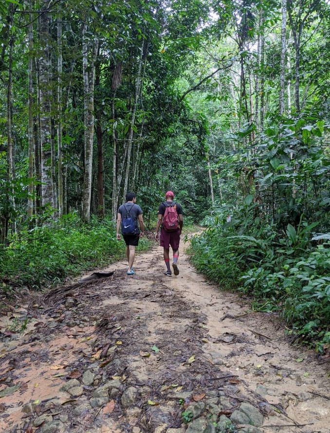 aktiviti lata medang