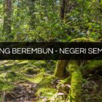 gunung berembun