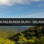 gunung bunga buah