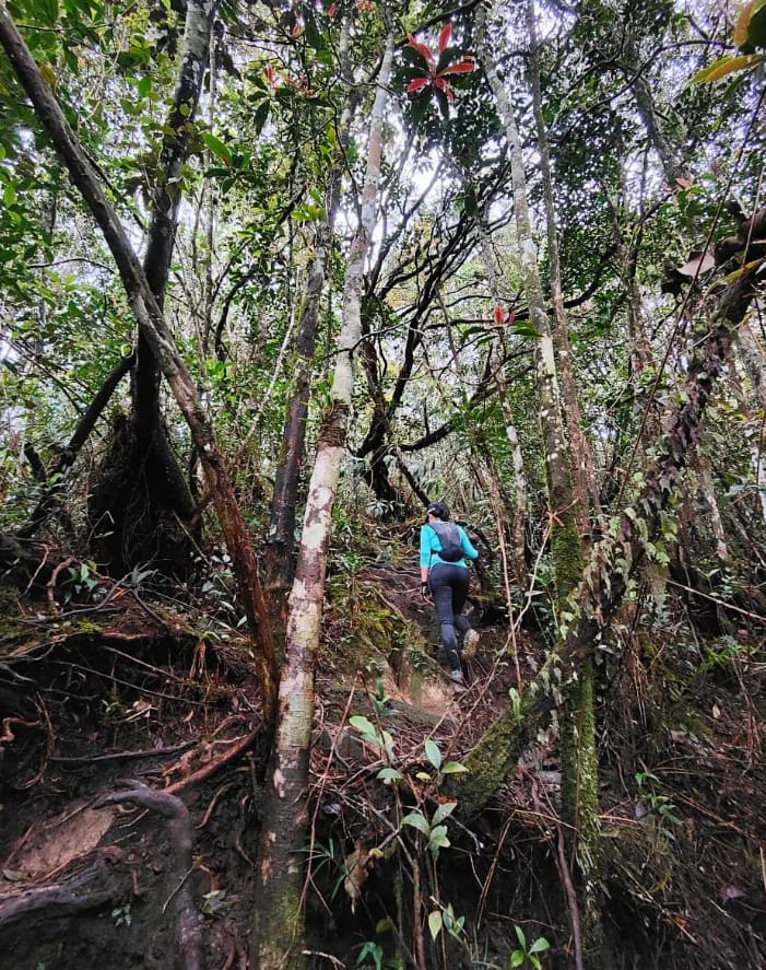 harga tiket gunung korbu