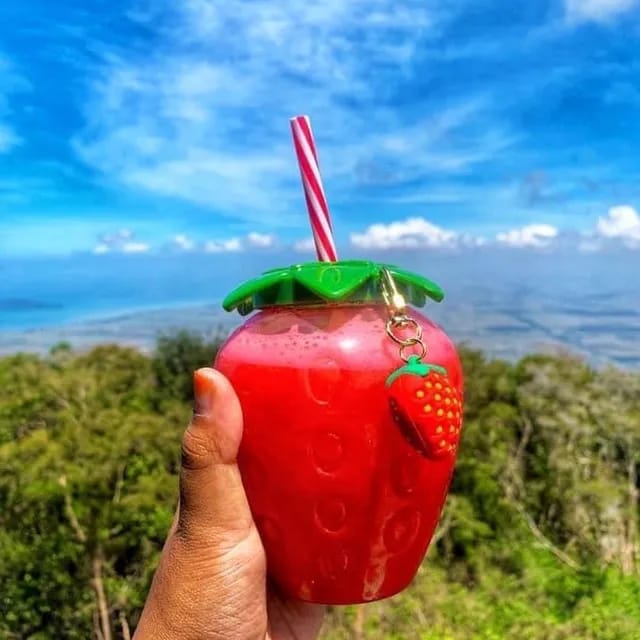 ladang strawberry gunung jerai