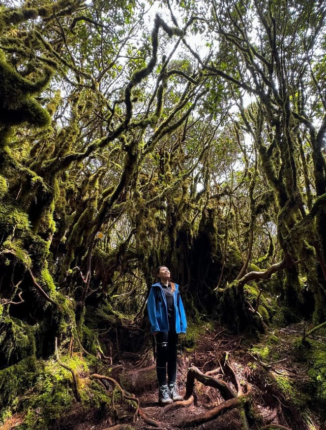 laluan gunung irau