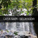 lata gapi