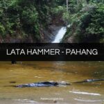 lata hammer