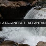 lata janggut