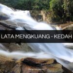 lata mengkuang