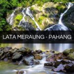 lata meraung