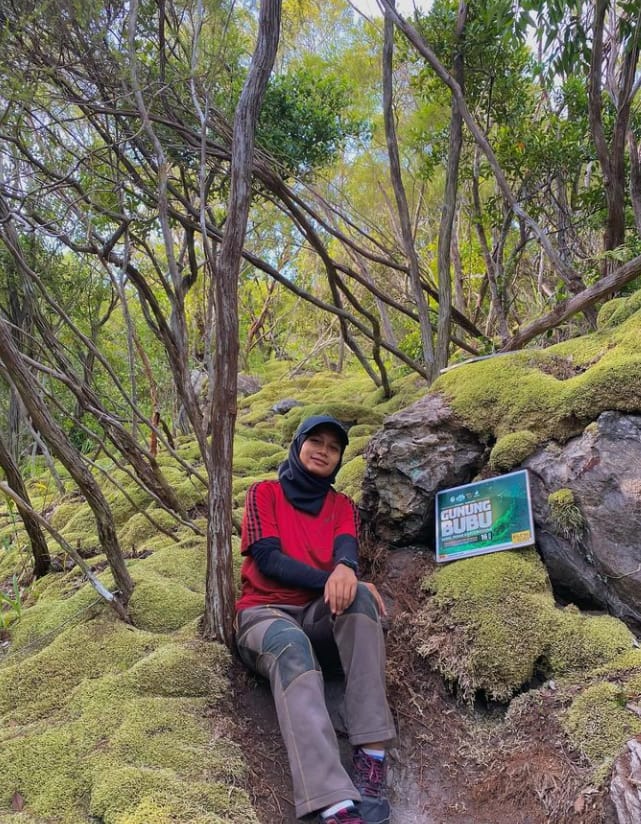 lokasi gunung bubu