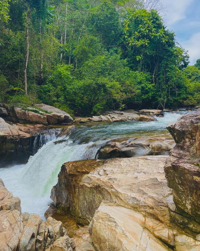 lokasi lata janggut