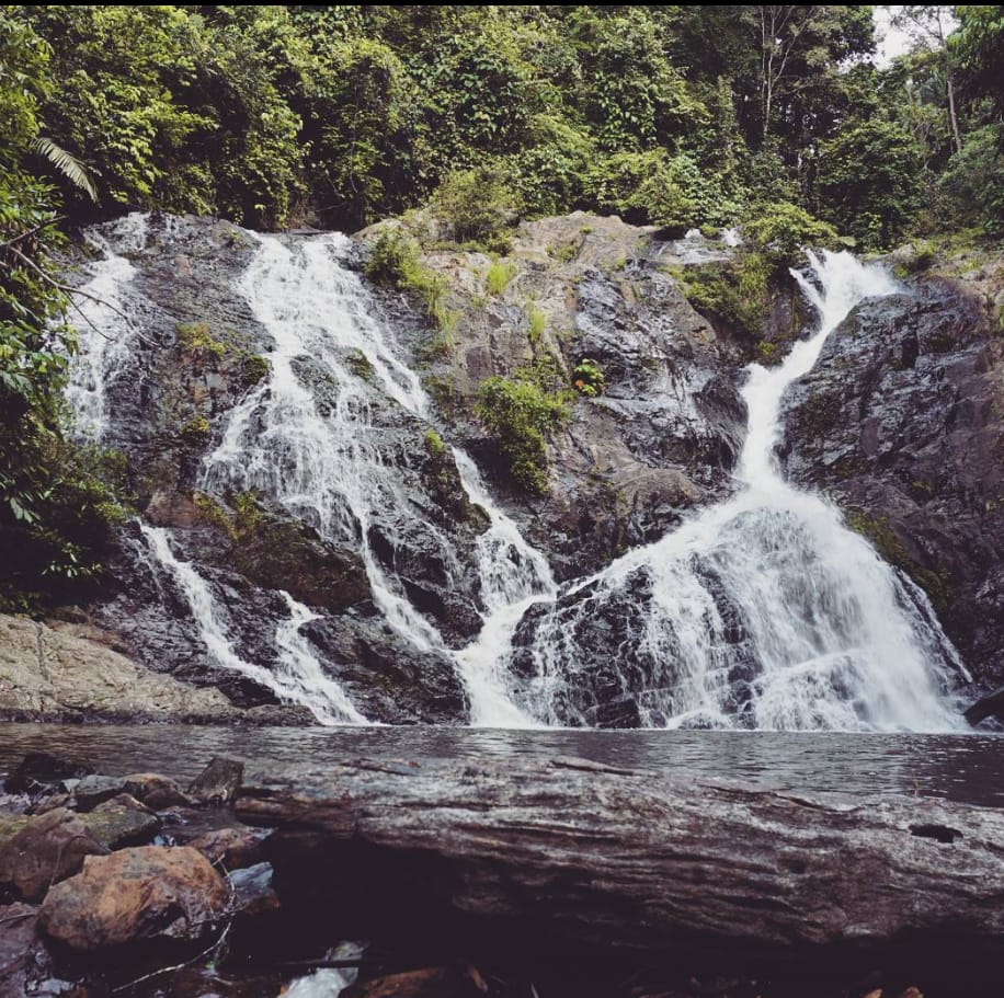 lokasi lata meraung