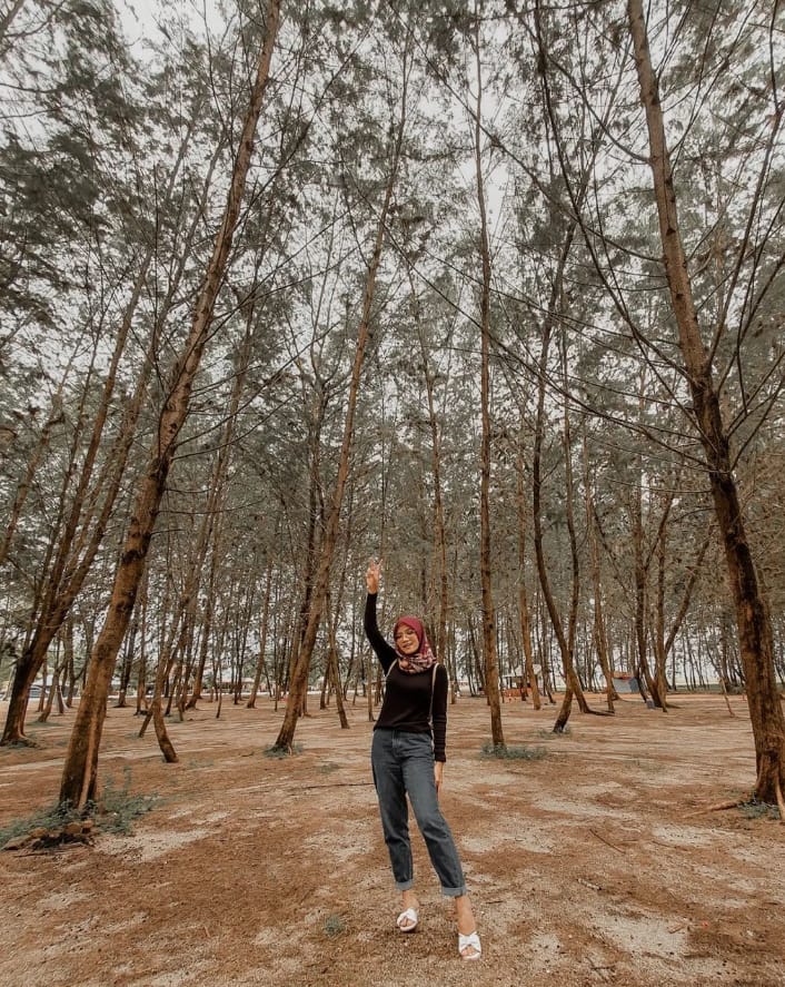 lokasi pantai teluk ketapang