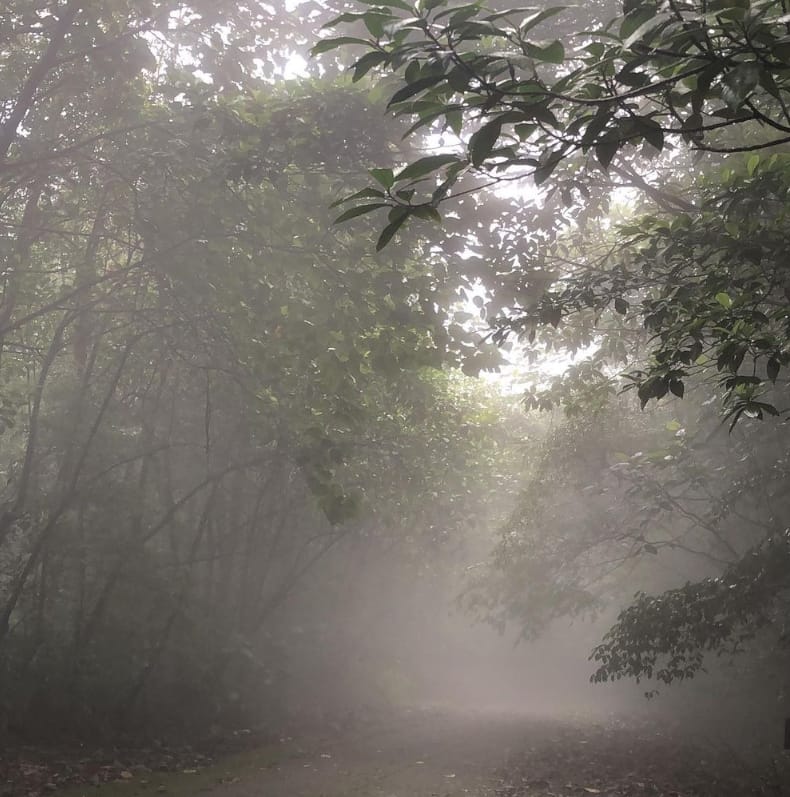 petua gunung serapi