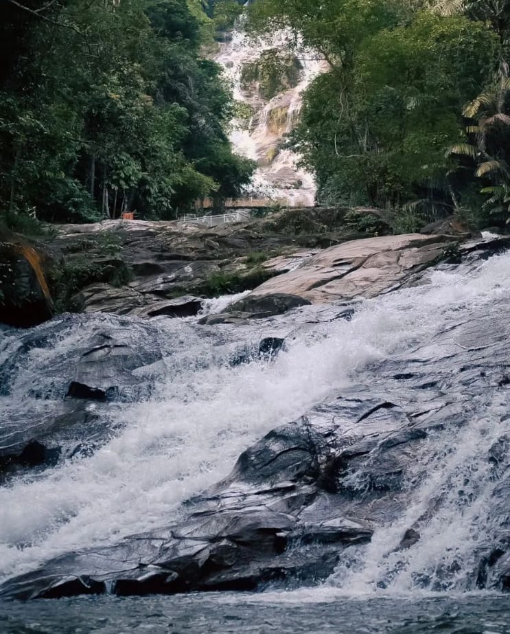 taman eko rimba lata kinjang