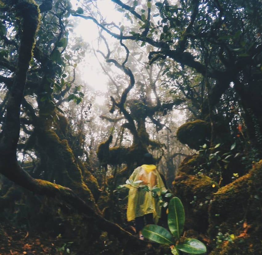 tarikan gunung korbu