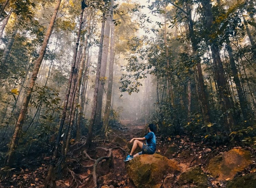 tarikan gunung lambak