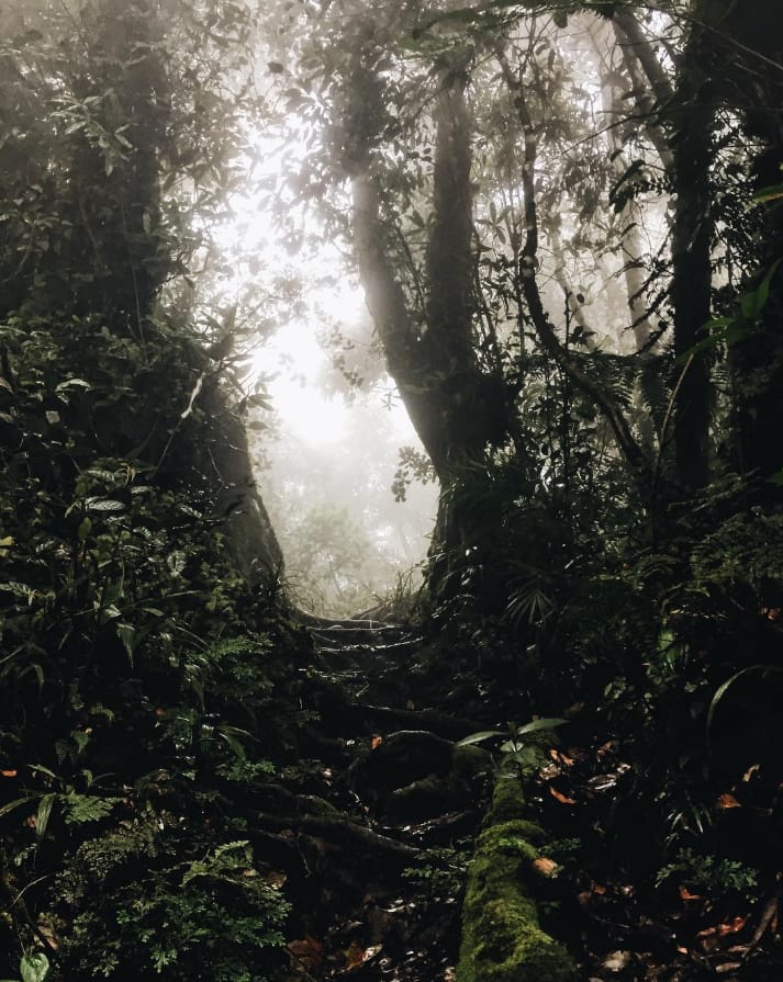 tarikan gunung nuang