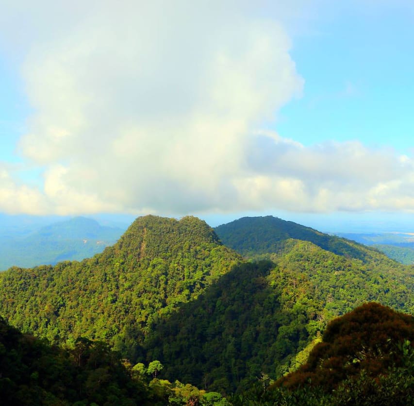 tarikan gunung serapi