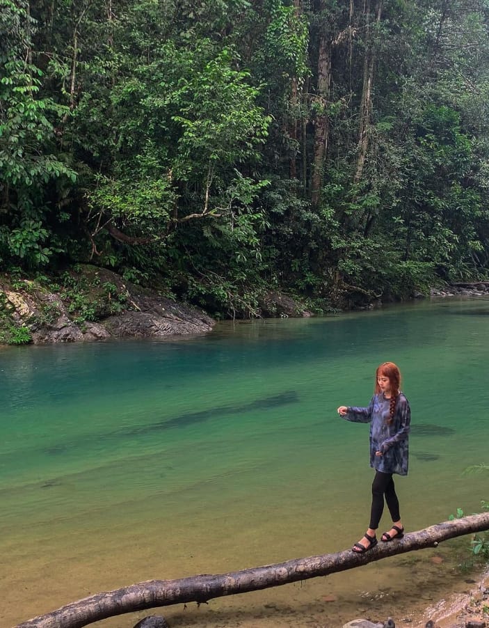 tarikan lata cangkah