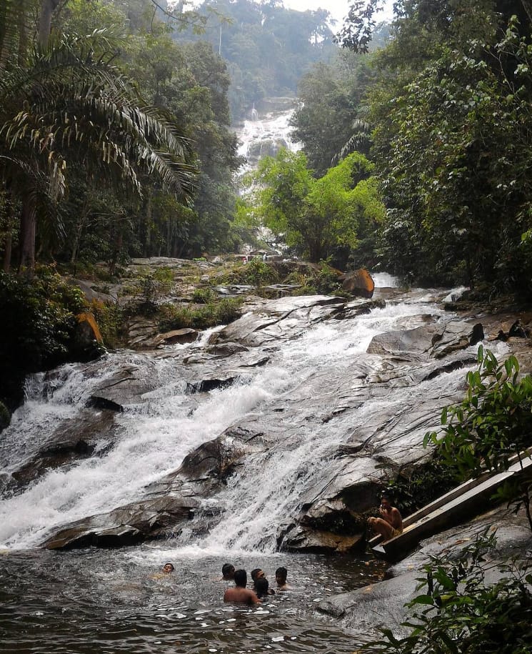 tarikan lata kinjang