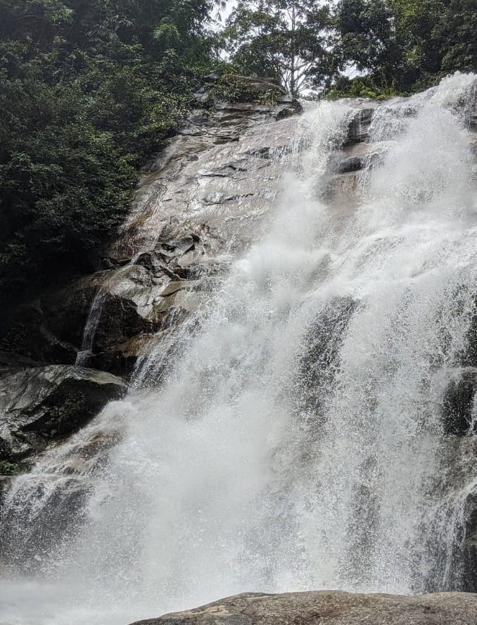 tarikan lata medang