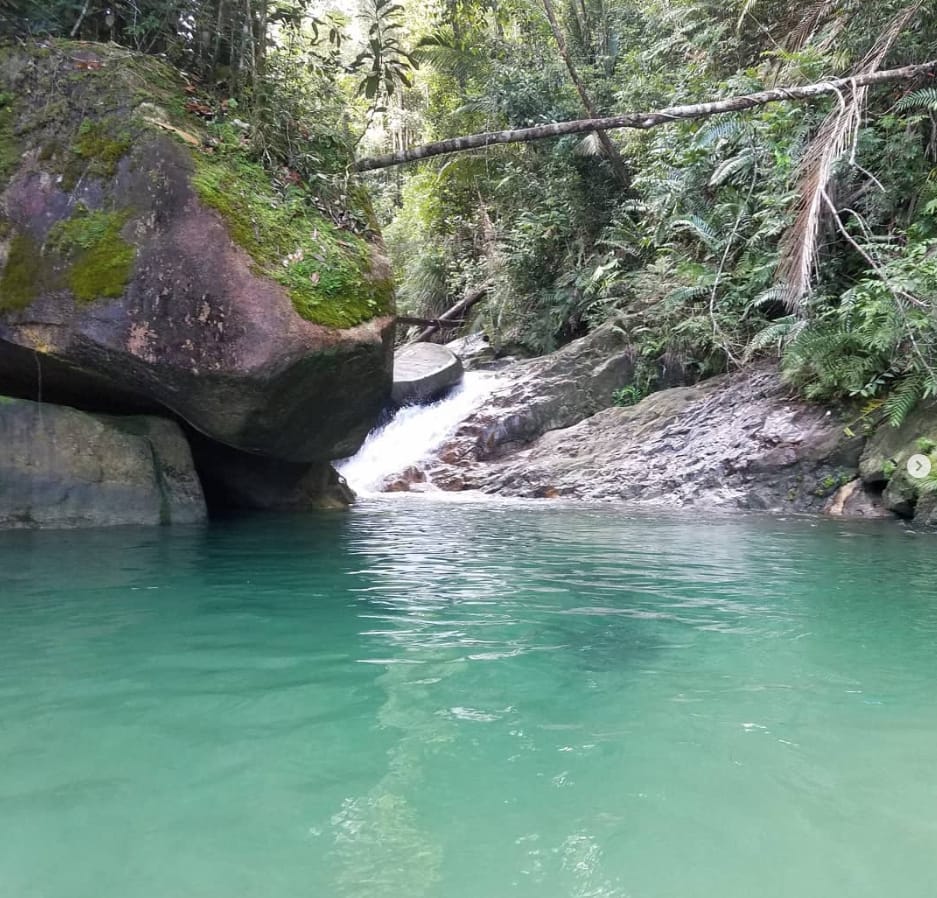 tarikan lata payung