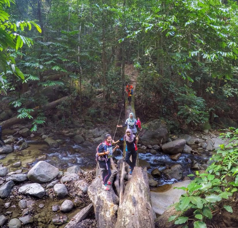 tips berkunjung gunung berembun