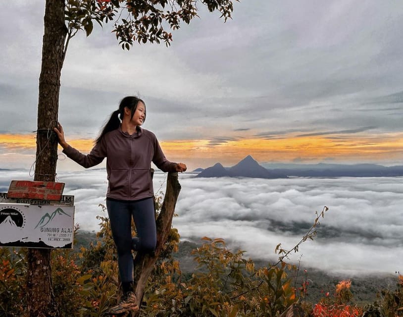 waktu operasi gunung alai