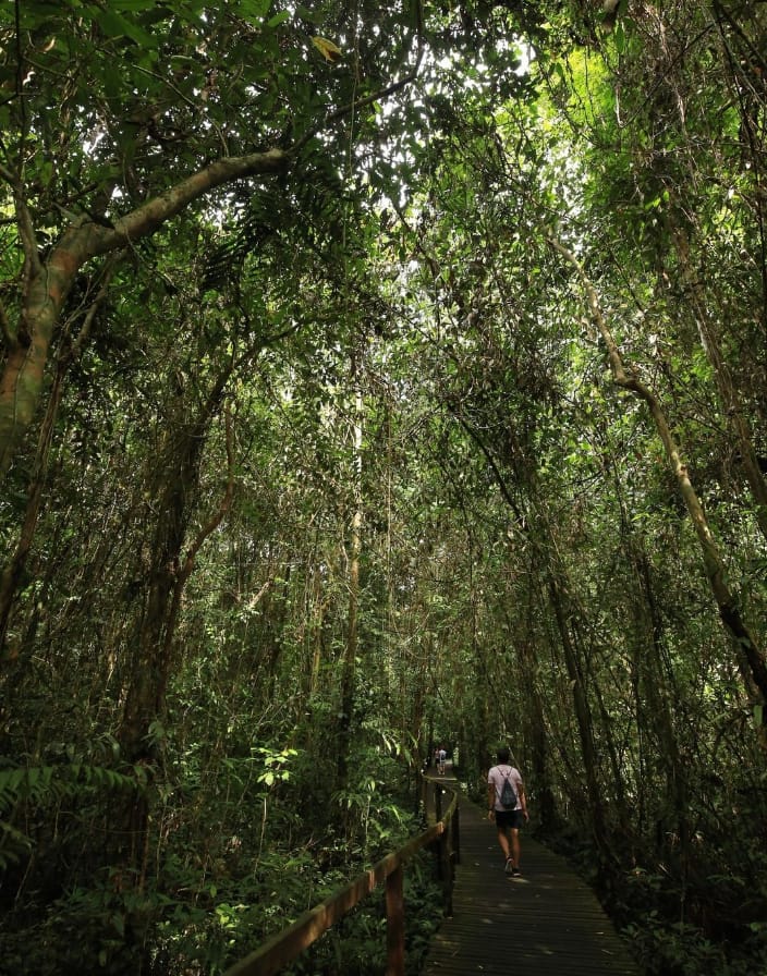 waktu operasi gunung mulu