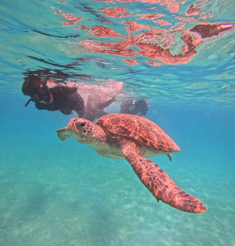 cara ke pulau perhentian