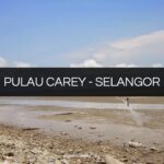 pulau carey