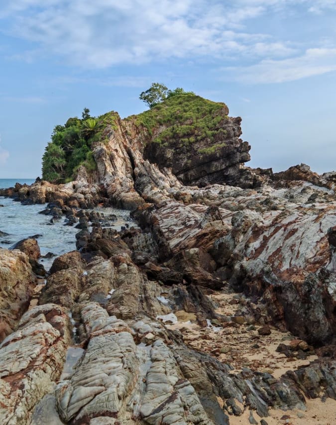 tarikan pulau kapas