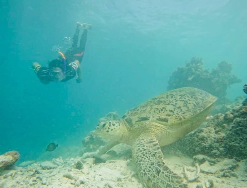 tempat menyelam pulau kapalai