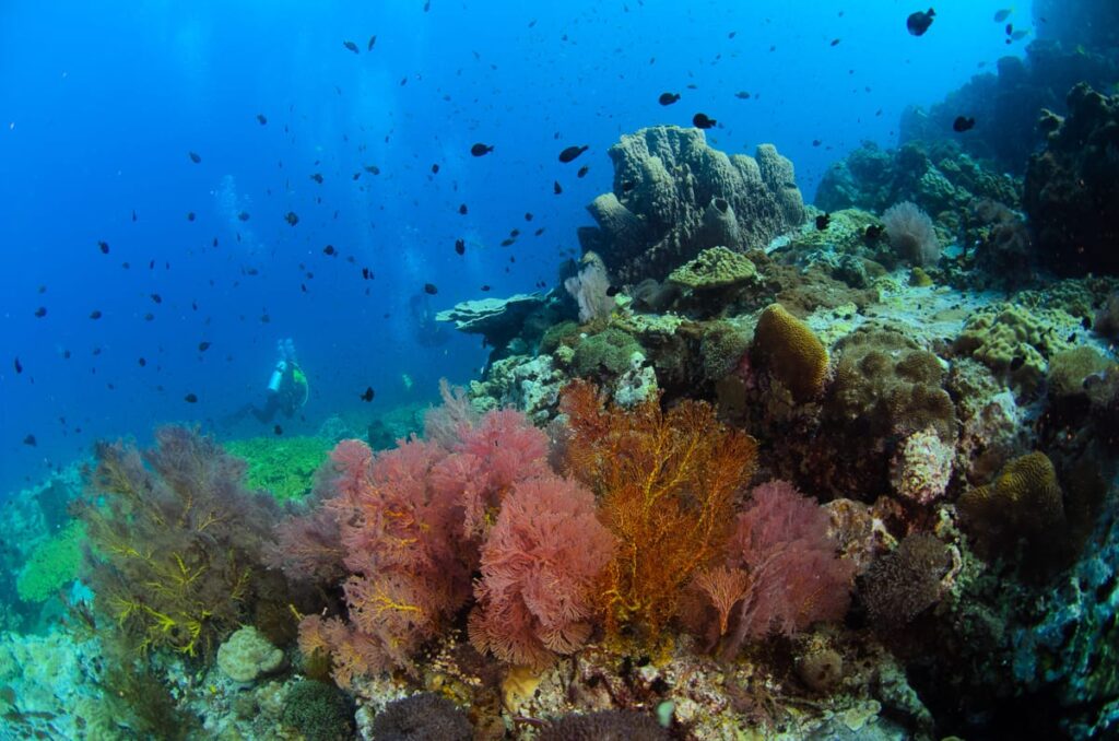 tokong laut