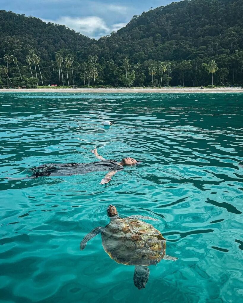 turtle bay pulau perhentian